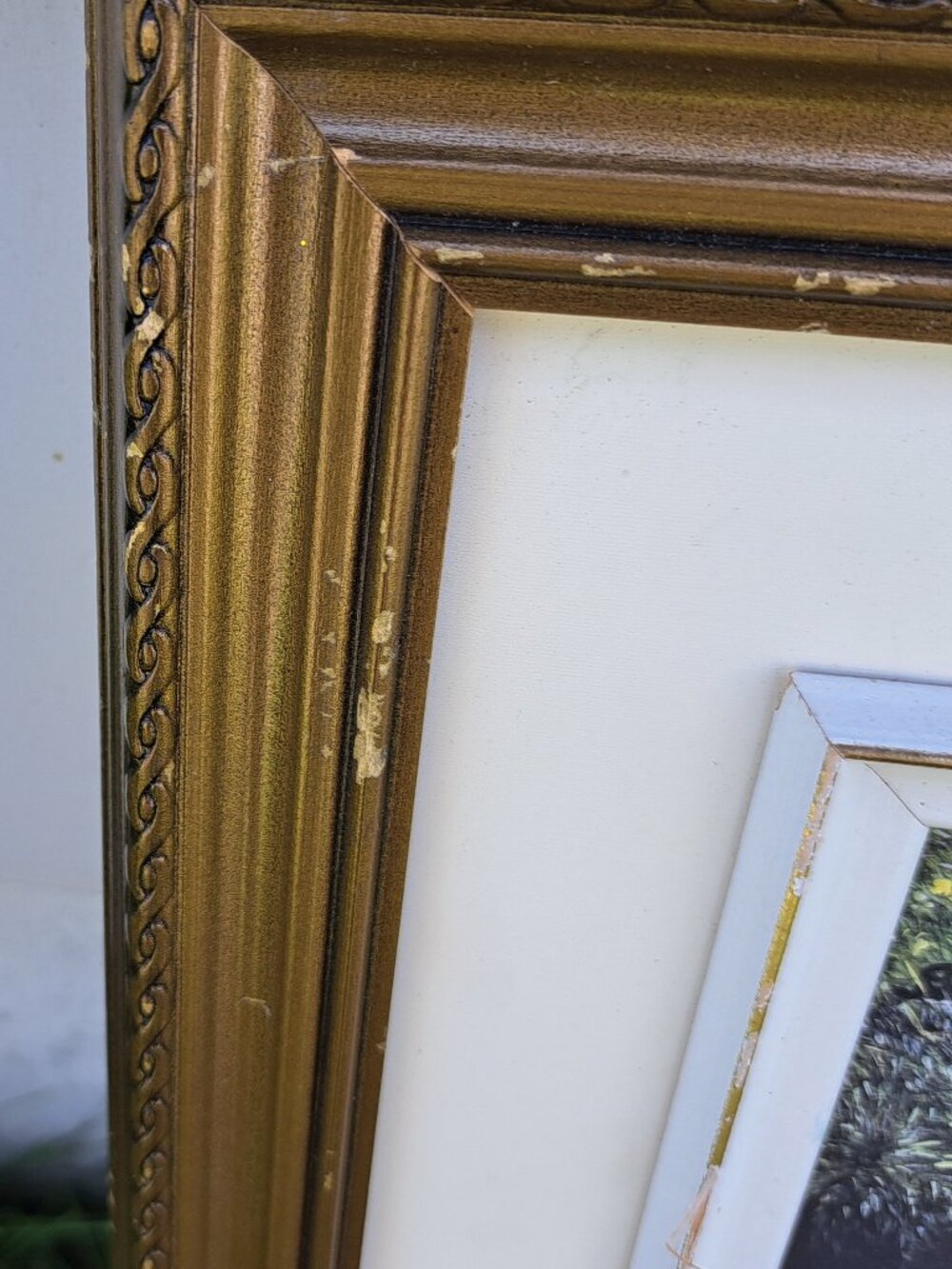 Framed Nature Print Of Ducks - Picture 11 of 11